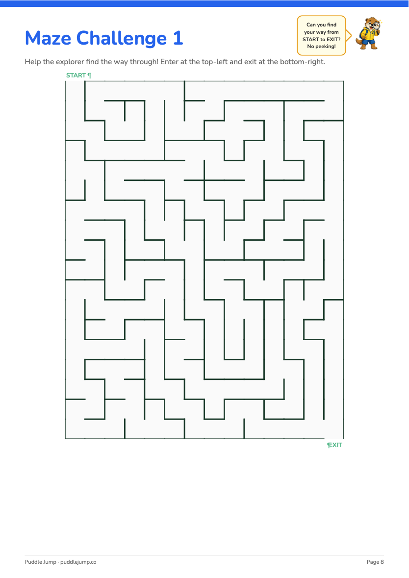Maze challenge